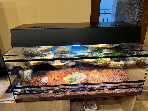 Teknős terrárium világítással